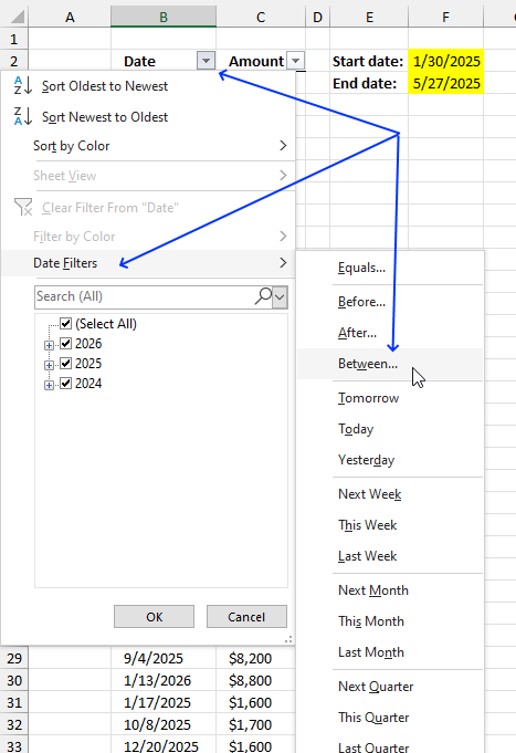 Filter rows based on a date range Autofilter5