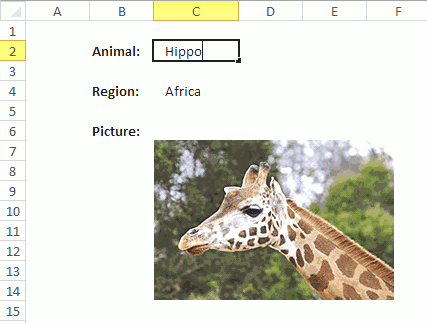 How to change a picture in a worksheet dynamically