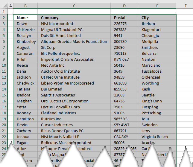 Print screen the entire worksheet1