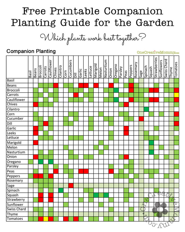 Companion Planting Chart