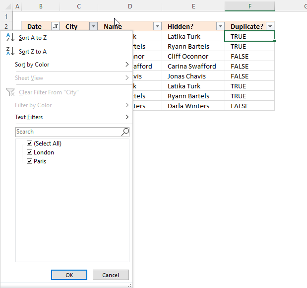 Filter duplicate values using criteria Autofilter5