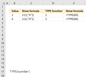 How to use the TYPE function