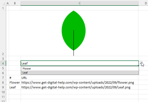 How to use the IMAGE function example 1